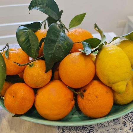 ソレント Casa Betania Da Peppeヴィラ エクステリア 写真