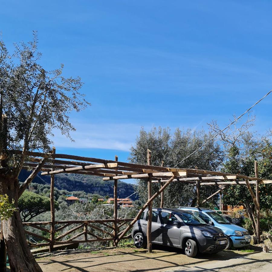 ソレント Casa Betania Da Peppeヴィラ エクステリア 写真