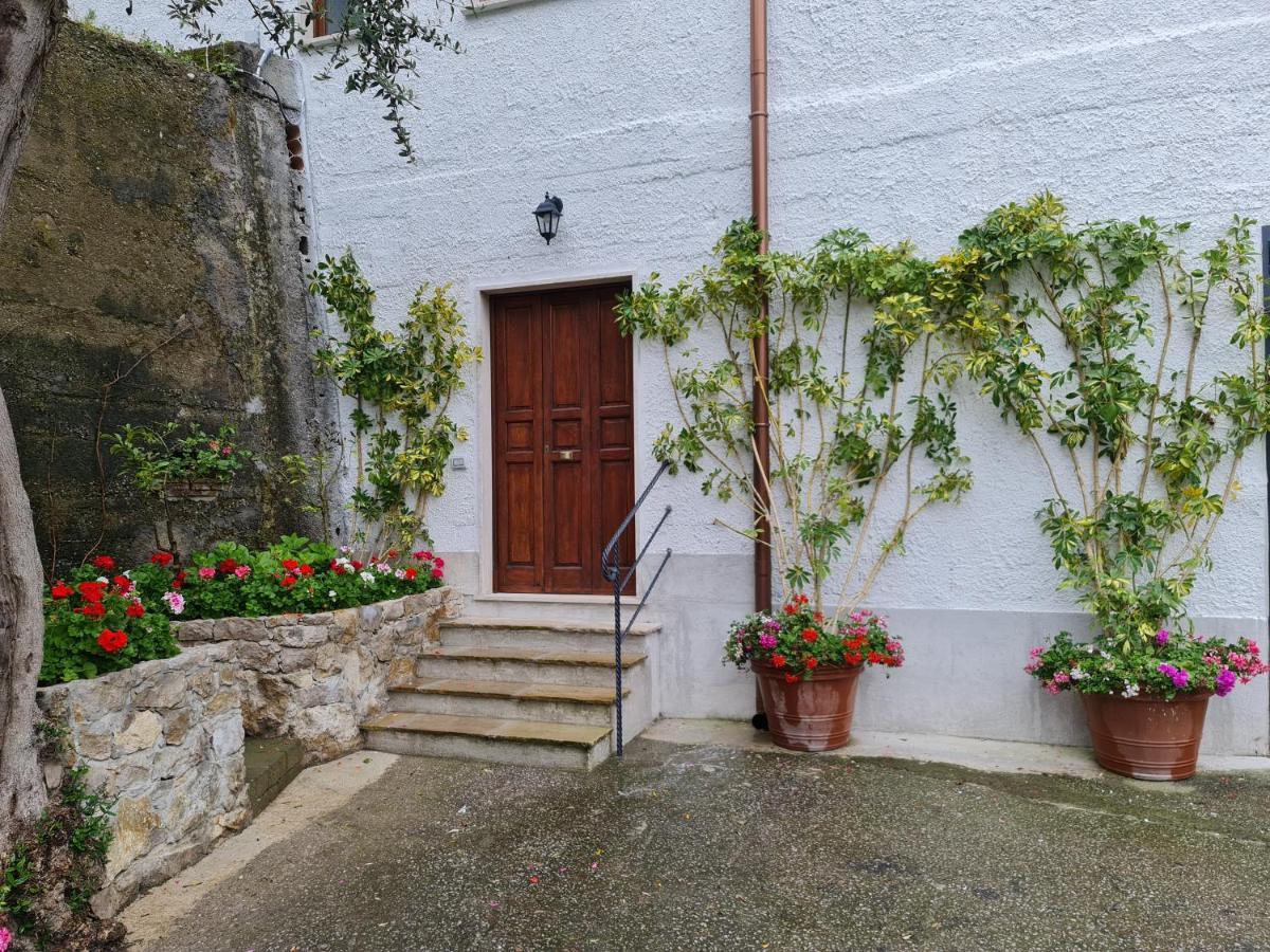 ソレント Casa Betania Da Peppeヴィラ エクステリア 写真