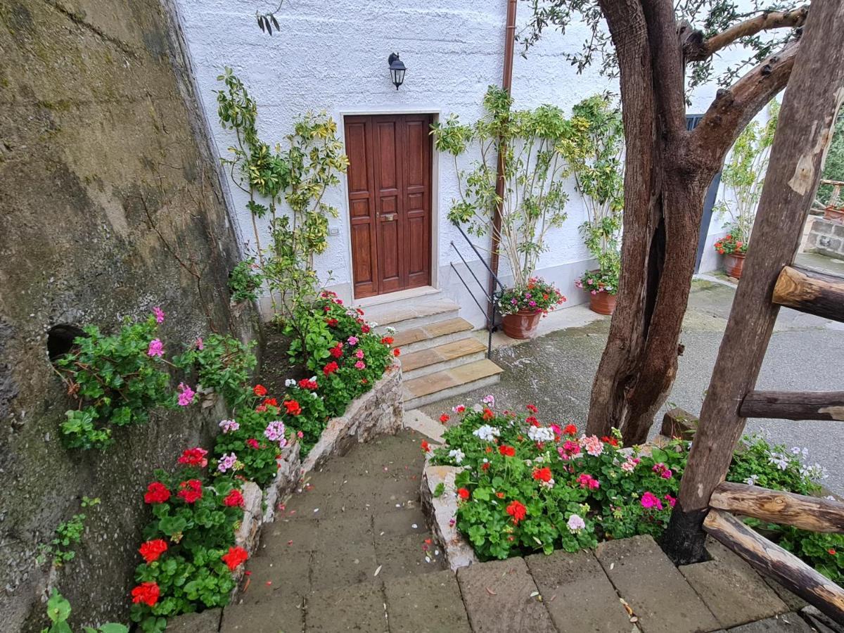 ソレント Casa Betania Da Peppeヴィラ エクステリア 写真