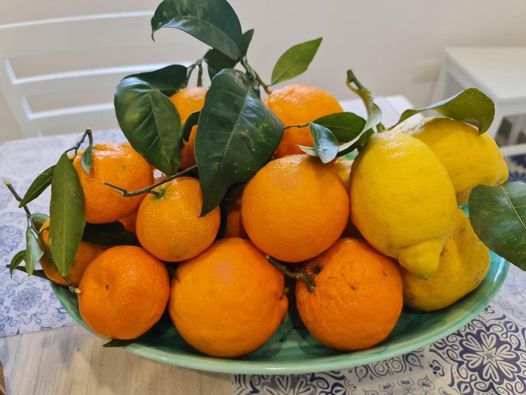 ソレント Casa Betania Da Peppeヴィラ エクステリア 写真